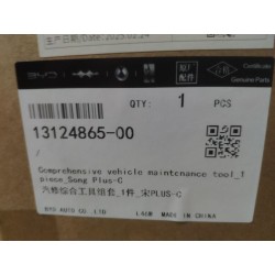 13124865-00