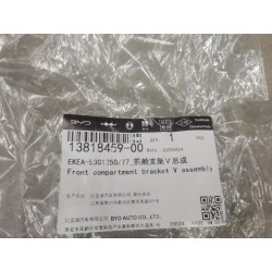 13818459-00