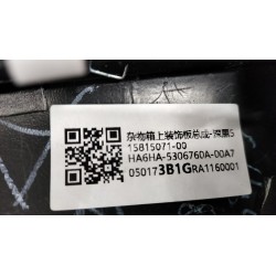 15815071-00