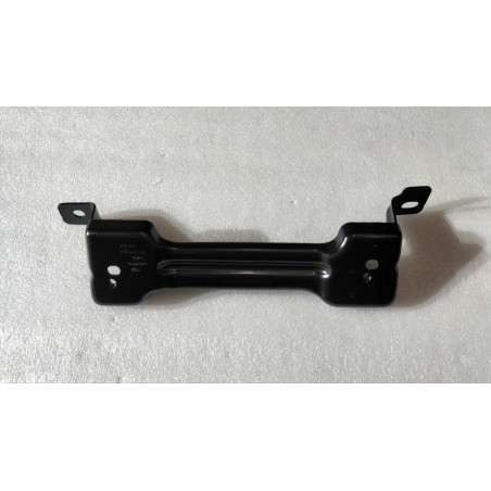 Support de poignée de sécurité avant - BYD - 13891278-00