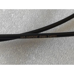 16299031-00