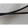 16299031-00
