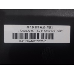 17299226-00