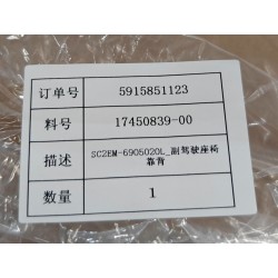 17450839-00