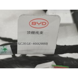 Faisceau de câblage de toit - BYD - 19328380-00