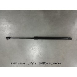 13136569-00