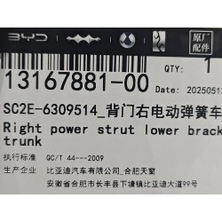 13167881-00