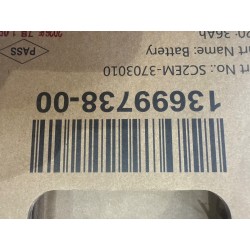 13699738-00