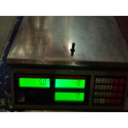 13819022-00