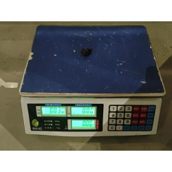 15913801-00