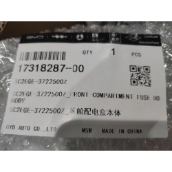 17318287-00