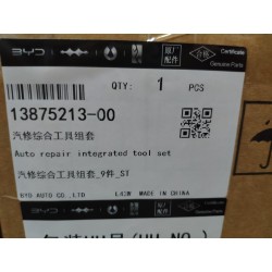 13875213-00