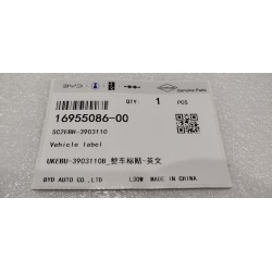 16955086-00