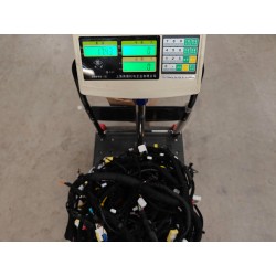 17009981-00