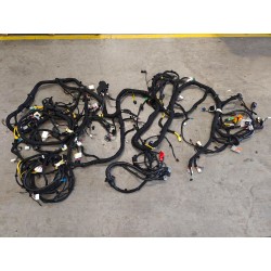 17009983-00