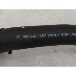 17284929-00