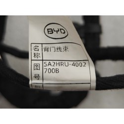 16654981-00
