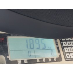 20952338-00