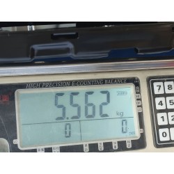 20952331-00