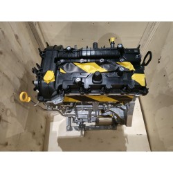 20452477-00