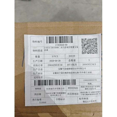 17369666-00