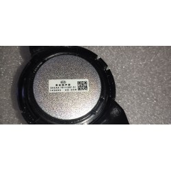 18132025-00