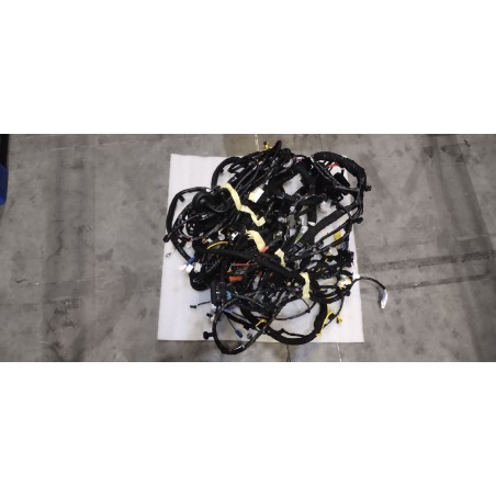 17069886-00