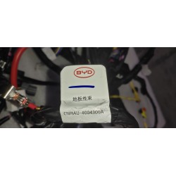 17069886-00