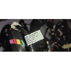 17069886-00