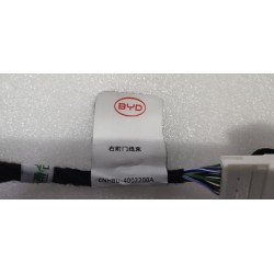 17069929-00