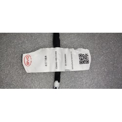 17069619-00