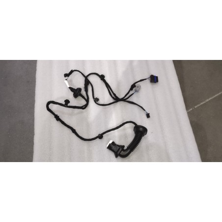17069620-00