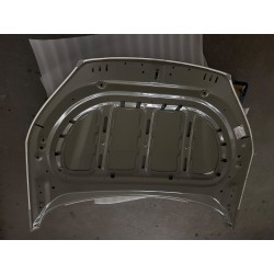 Capot - BYD - 19127651-00
