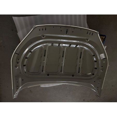 Capot - BYD - 19127651-00