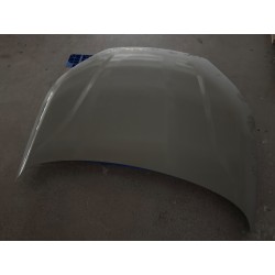 Capot - BYD - 19127651-00