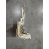 16168251-00