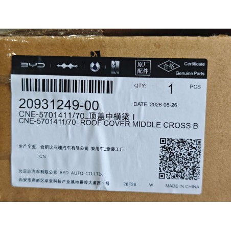 20931249-00