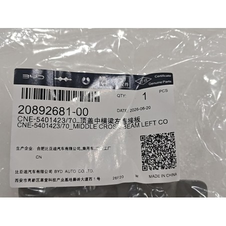 20892681-00