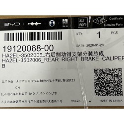 Sous-ensemble support d'étrier de frein arrière droit - BYD - 19120068-00