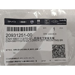 20931251-00