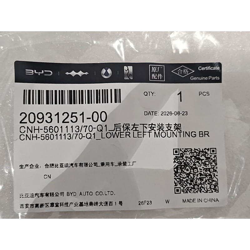 20931251-00