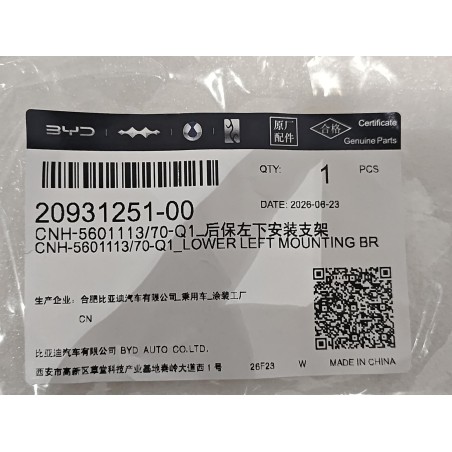 20931251-00