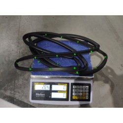 16162919-00