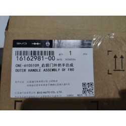 16162981-00