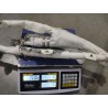 Module airbag rideau latéral droit - BYD - 19086262-00