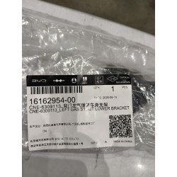 16162954-00