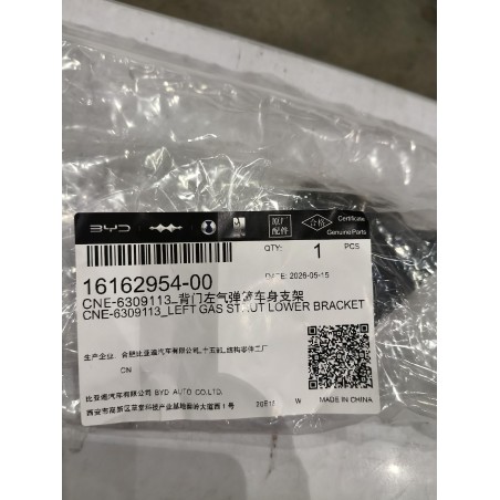 16162954-00