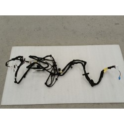 Faisceau de câblage de couvercle de coffre - BYD - 19024913-00