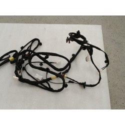 Faisceau de câblage de couvercle de coffre - BYD - 19024913-00