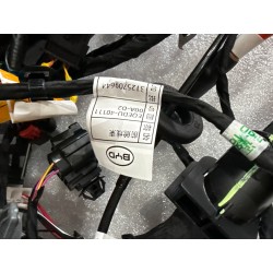 Faisceau de câblage de compartiment avant - BYD - 19018509-00